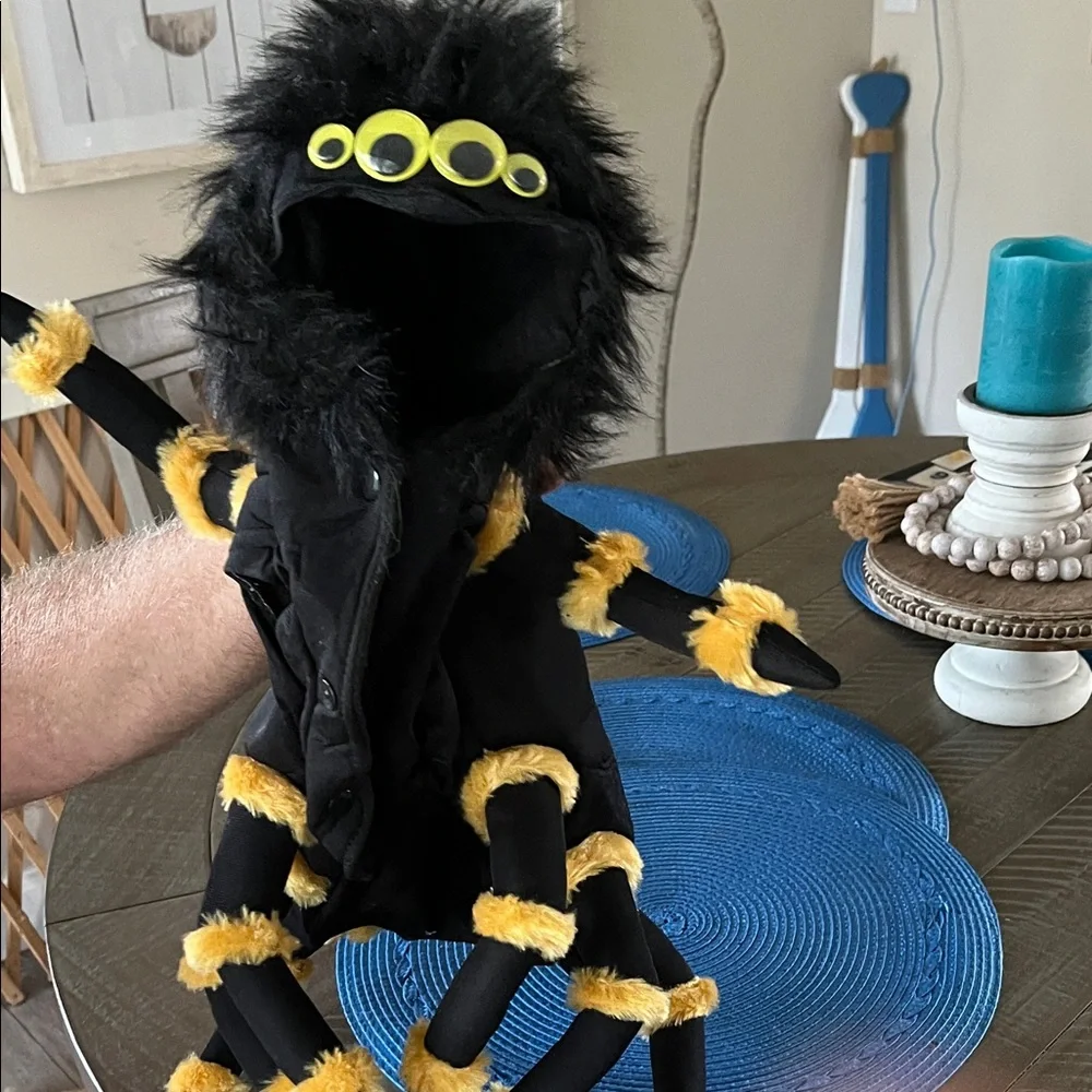 Black and Yellow Plush Spider